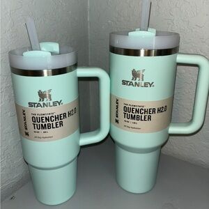 Stanley Quencher 30 and 40 Oz Mint